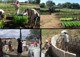 AÇÕES DA SECRETARIA MUNICIPAL DE AGRICULTURA DE ZABELÊ EM 2013. 